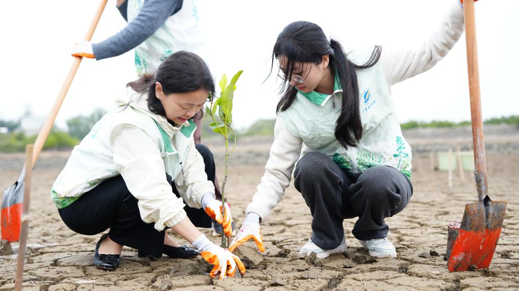 3861C6D1EA7460A3E7FE755D01B_EA8CB4D1_15A6F 3861C6D1EA7460A3E7FE755D01B_EA8CB4D1_15A6F