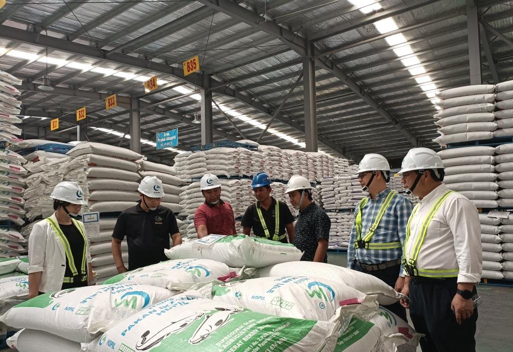 C2DCC3F99FEFACD9F88F08AEF4D_71730169_31BDC C2DCC3F99FEFACD9F88F08AEF4D_71730169_31BDC