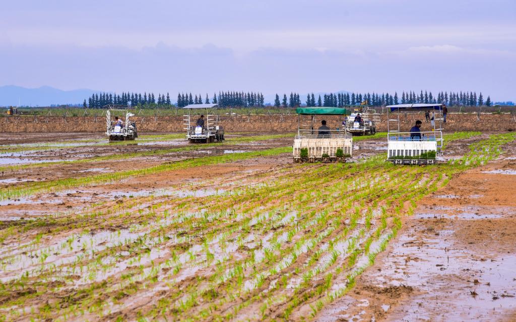 41E9FE5BE28E73B0E66B8E24915_2D19767B_20DA1