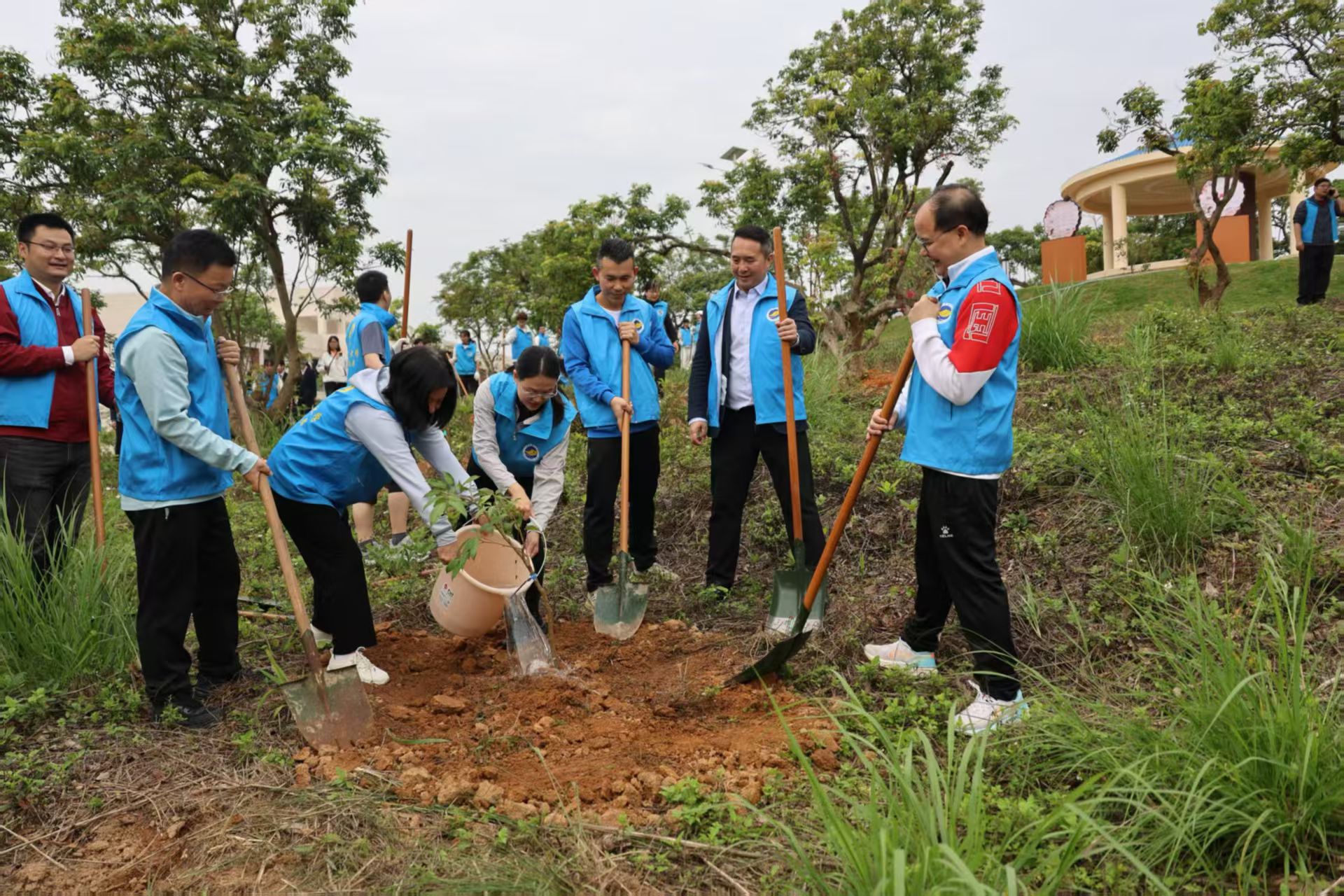 093F39C4117FB1613AC2F394449_54049C41_76674