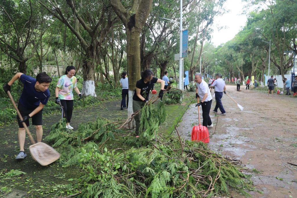 A9153CF374602470447748129E9_4CD7AF3E_2D443