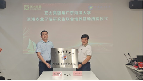 ��ҳ|�Ϲ�NG28��������Ʒ��ʵ������