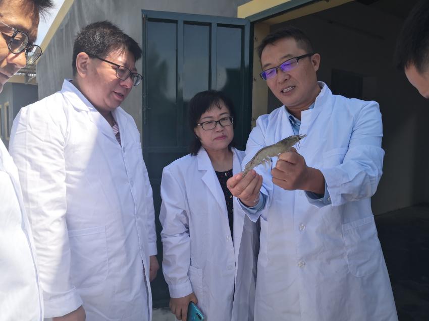 Ê×Ò³|ÄϹ¬NG28¼¯ÍÅÏàÐÅÆ·ÅÆÊµÁ¦¹ÙÍø