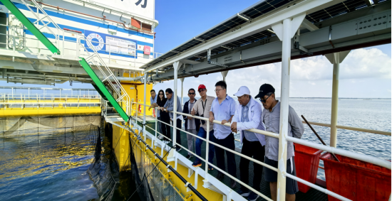 ��ҳ|�Ϲ�NG28��������Ʒ��ʵ������