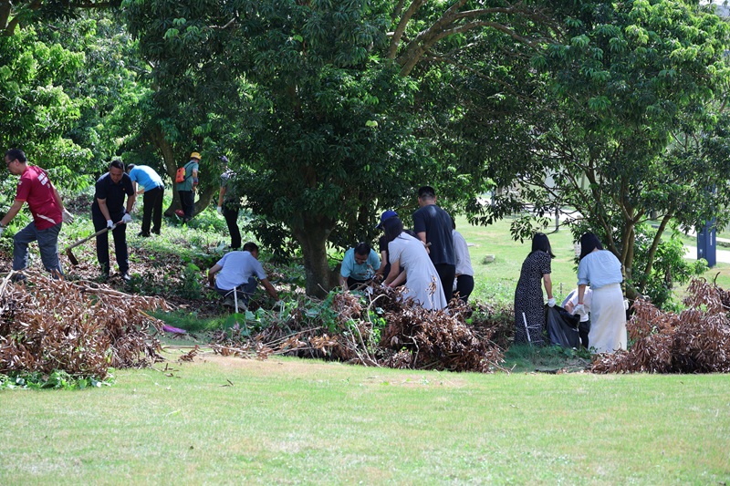 968A62AB7D375AE7824EDA41BD8_7FB7A16F_4FFDC