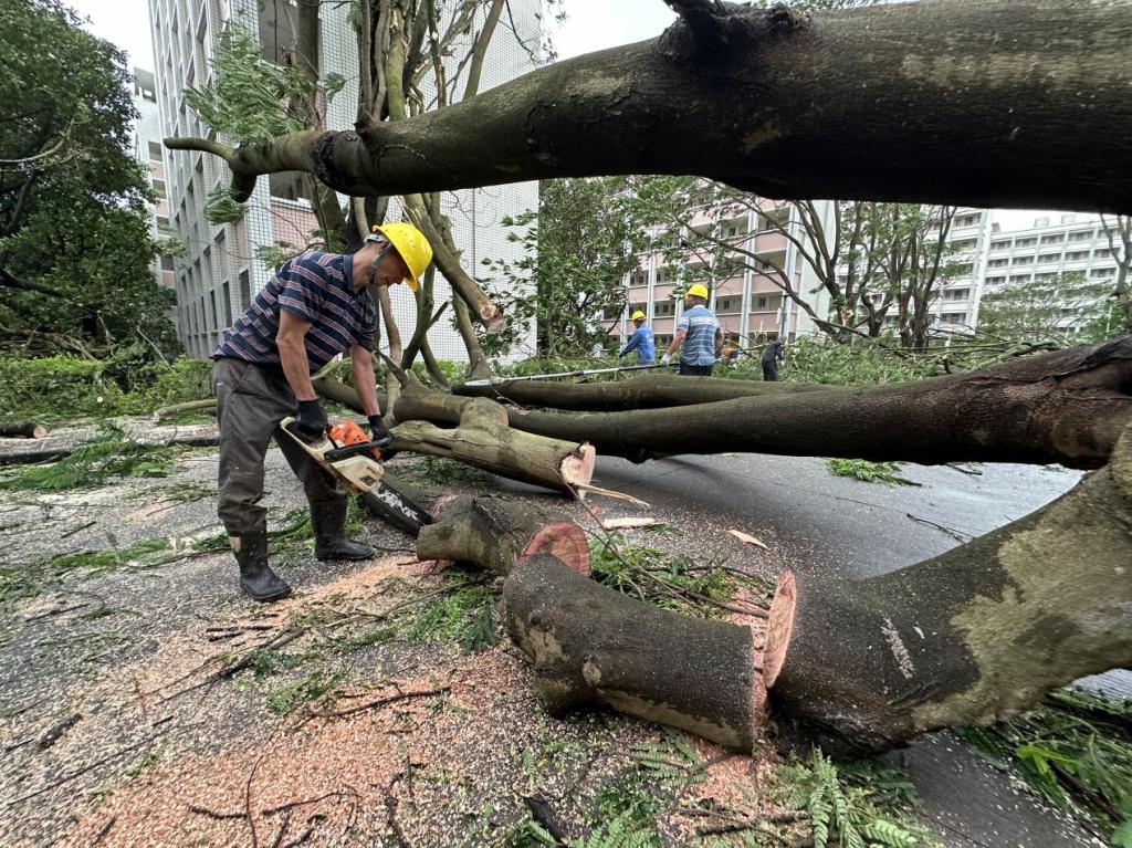 5221556BF63F338BA2DCF65C5AD_A66629EA_36595