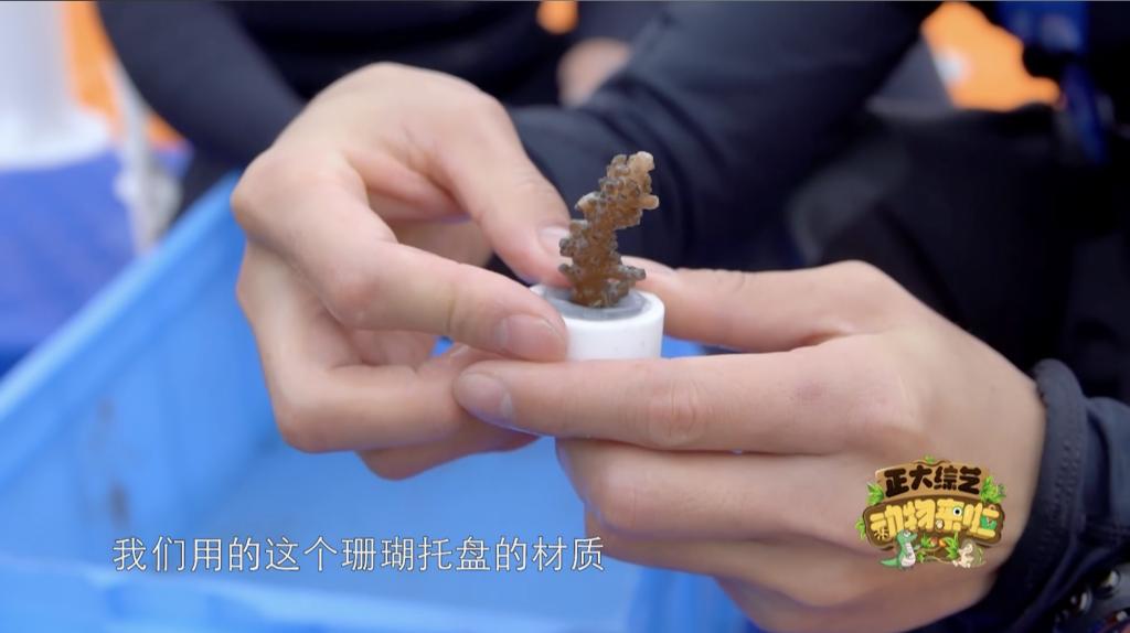 0B74011D15EA60D24D5D8C9E2C9_77F05BBD_B53B