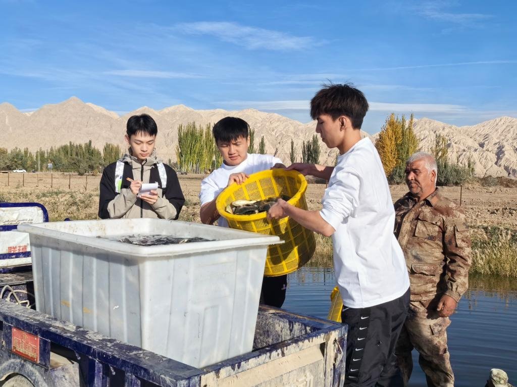 4D1E94DB434BB988BDFA30CF710_9BB2C337_26B65 4D1E94DB434BB988BDFA30CF710_9BB2C337_26B65