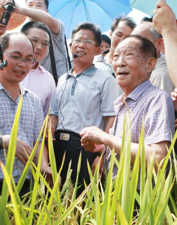 8ECBE0EC9B7087960DDB387B98B_913A3100_1571E