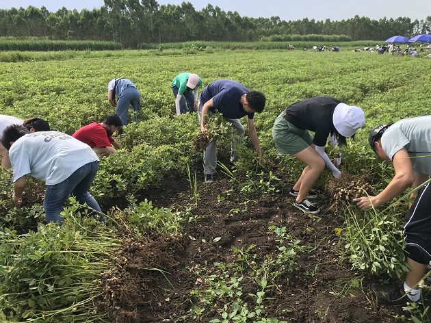 1529915310792559.jpg 1529915310792559.jpg