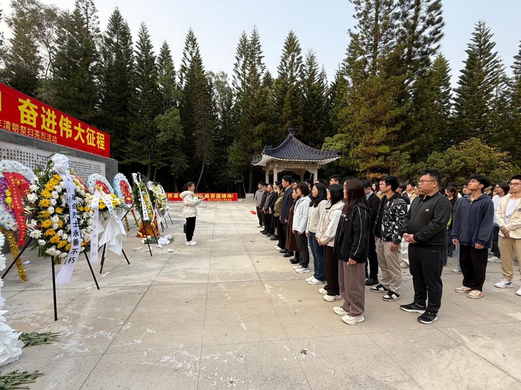 7B34450250C51F4509107220136_4D54435A_312D8