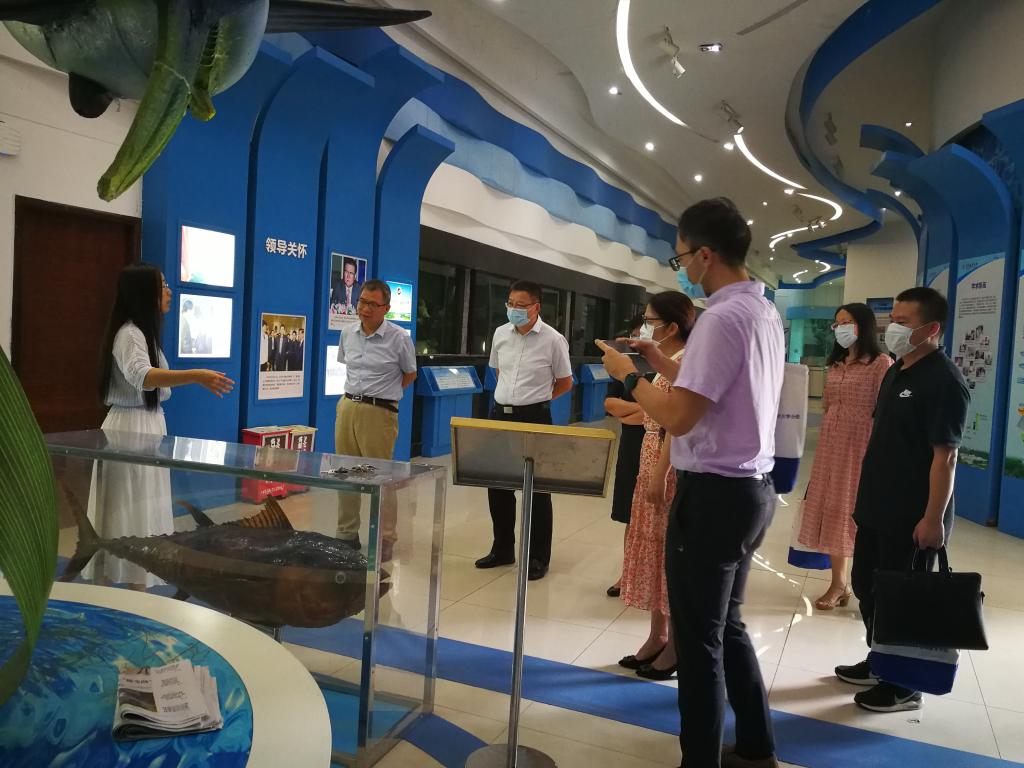 545BB73A5A6A0909152B04A1143_BEA32F5E_18E14