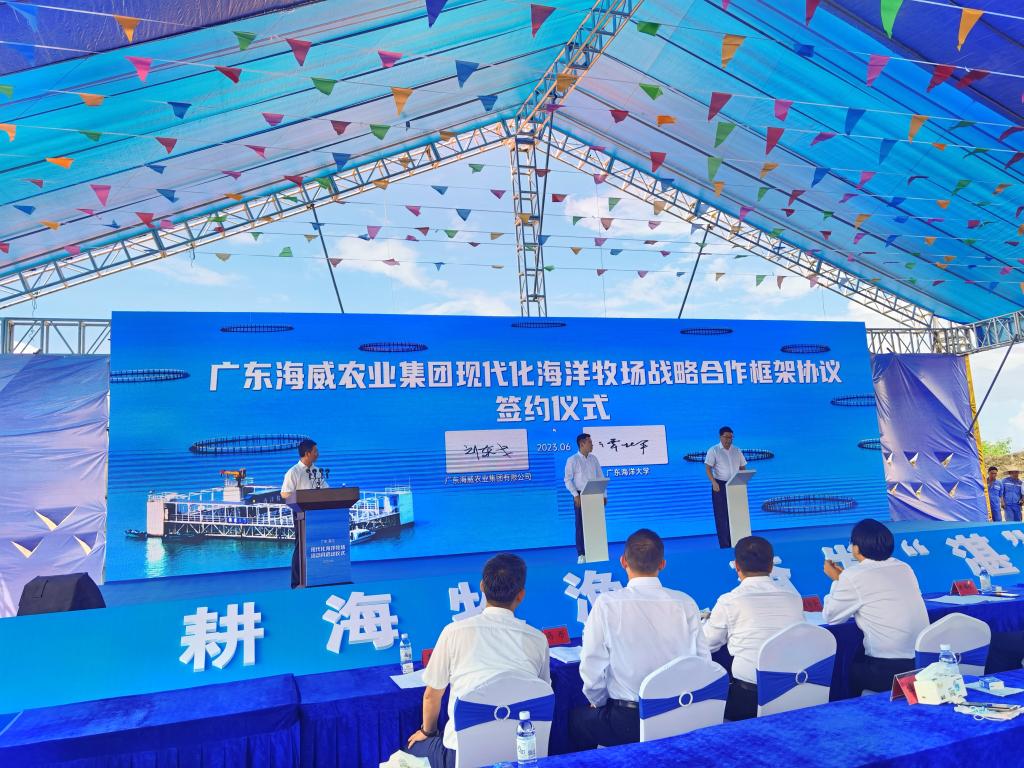 3B1ED0E0E632E4BED90B11F7749_5F680BAD_26157 26157