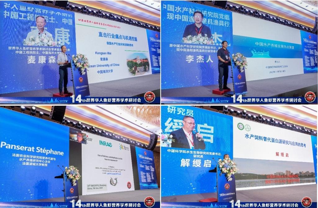 21F1B14AA0DCFB77D48B3615DAC_62A744DA_22C06