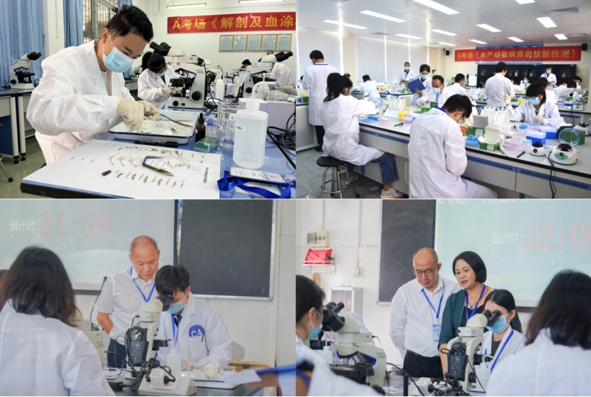 20FDDC7F5793CA2A453021AA6D9_20455FC3_54C28 20FDDC7F5793CA2A453021AA6D9_20455FC3_54C28