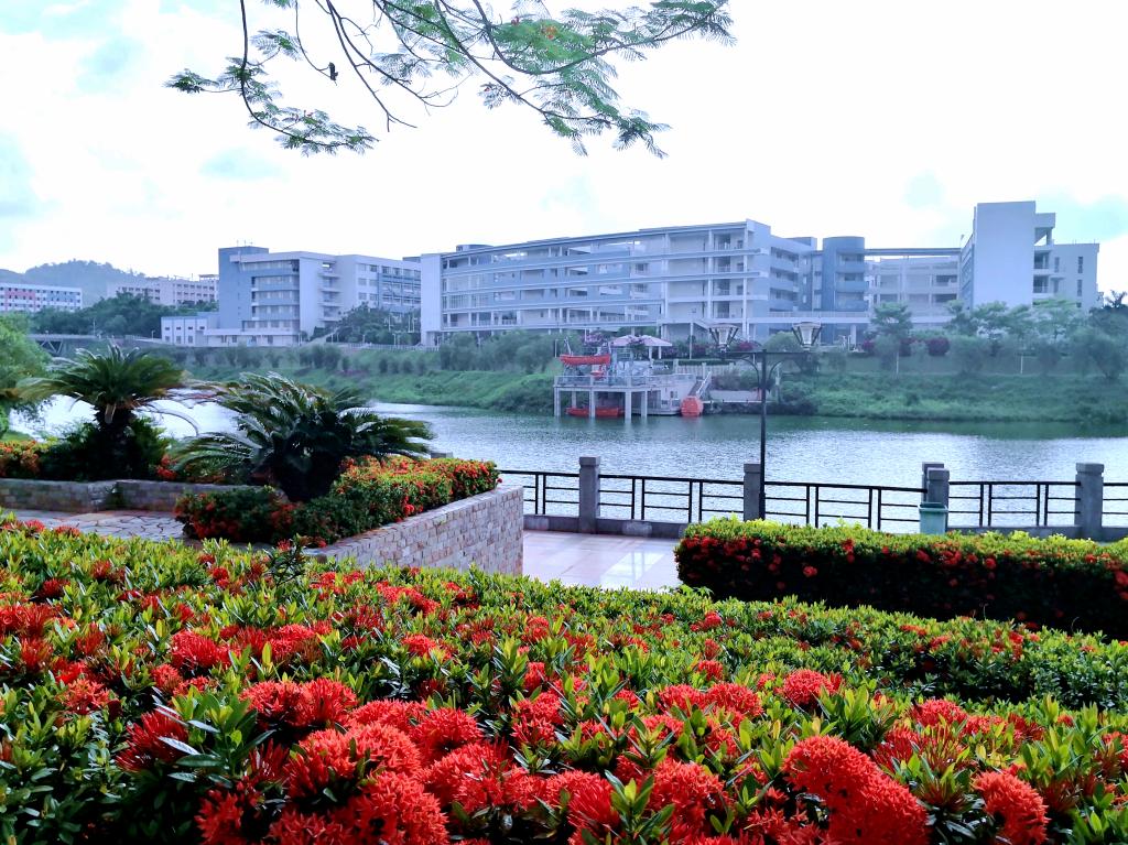 ��ҳ|�Ϲ�NG28��������Ʒ��ʵ������