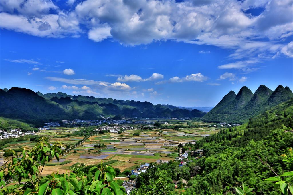 9C33740533AE7DEA65498B55054_7BC6C086_20297