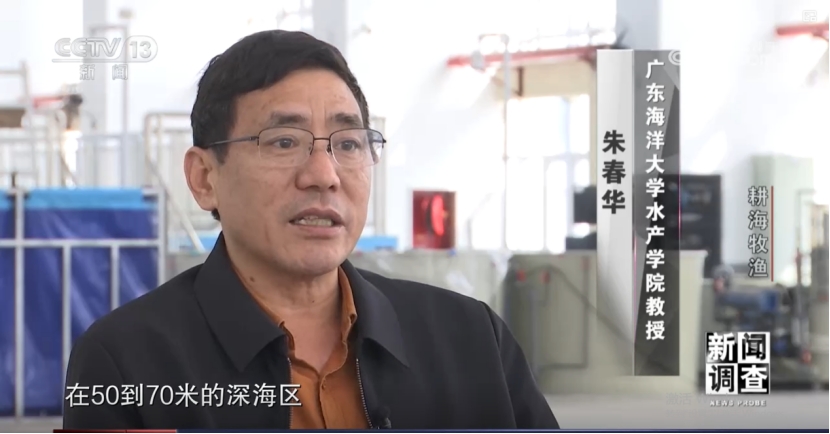 ABA90A4BA90503F630132423ACC_CA627737_29F0D