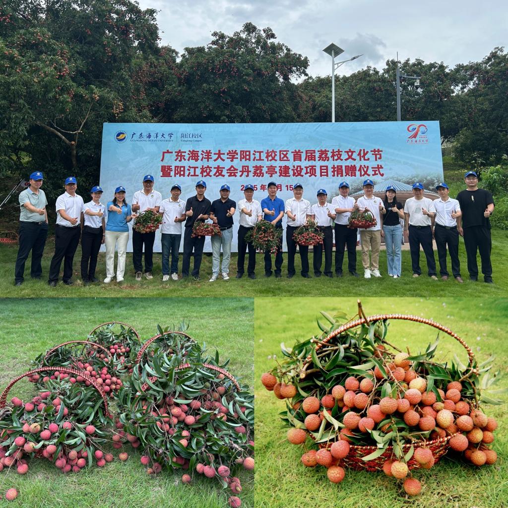 112CCDD36A865A63B1F0090C927_0B7ED2AA_41BFC