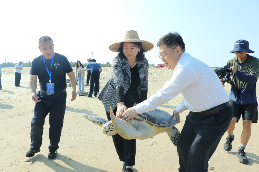 3307E914F7E9BFEFE2F77E12B7E_A4C99B89_14F55