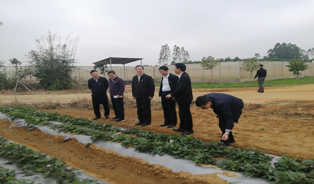 8E9323A00F3BBB648AAD3B9F9F0_686742A9_C94D5 8E9323A00F3BBB648AAD3B9F9F0_686742A9_C94D5