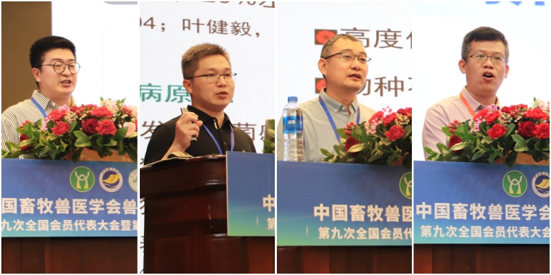 AEBBC76A033CBC99CB907103323_785264B9_1DACE