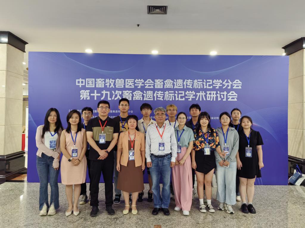 ��ҳ|�Ϲ�NG28��������Ʒ��ʵ������