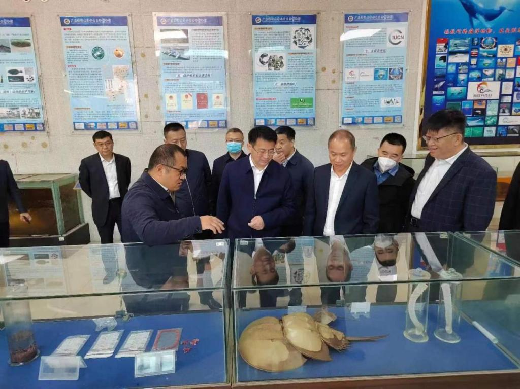 1E1B6D29E9B0E9BD2D2C01A575B_56D36A54_1C89D 1E1B6D29E9B0E9BD2D2C01A575B_56D36A54_1C89D