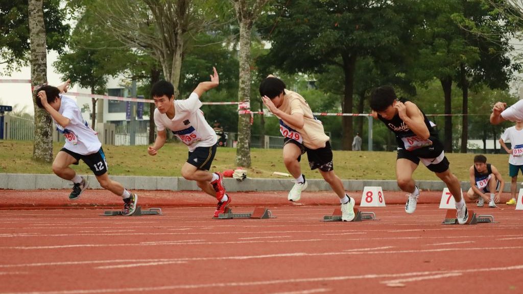 ��ҳ|�Ϲ�NG28��������Ʒ��ʵ������