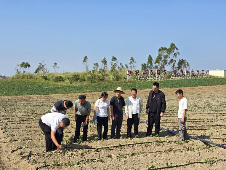 52CE6297C6C1BDEDD538798919B_38E91518_AAA9F