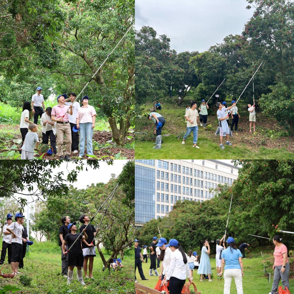 C1826C004C01EF38AC01EB96532_894C5DAA_48CEE