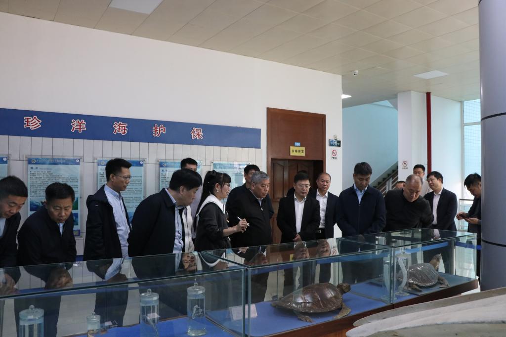 DFFE017A67B2B9A3705679AEA6F_5A68688D_12C48