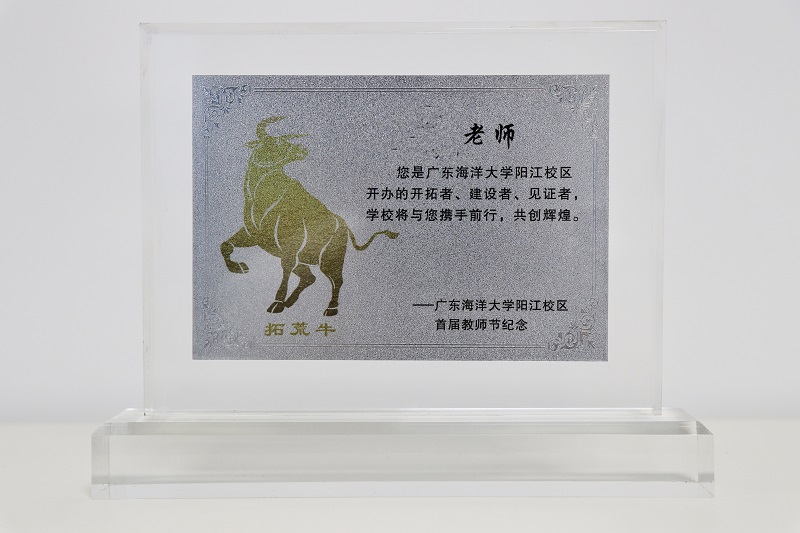 598DC4A523D3FC5EE7AB38F2490_1D5EF419_18703