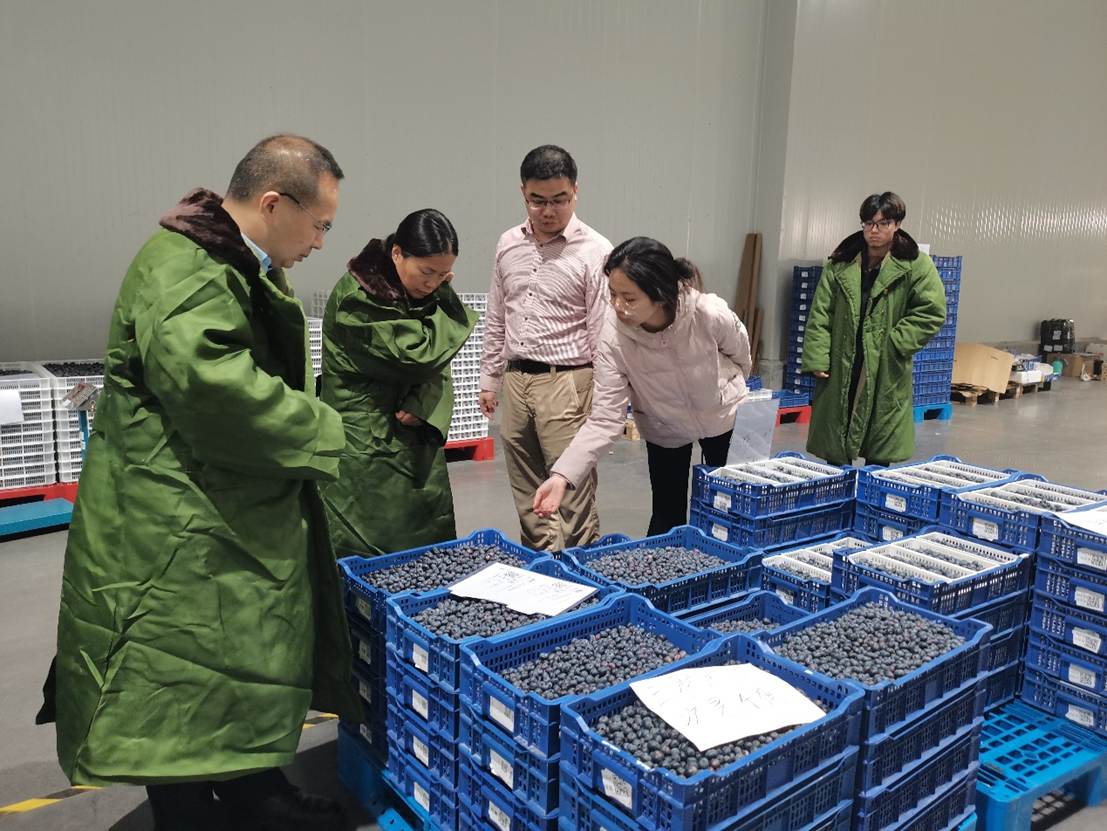 2A16A5D38B6A98B896721349FB5_CB75AC67_21594