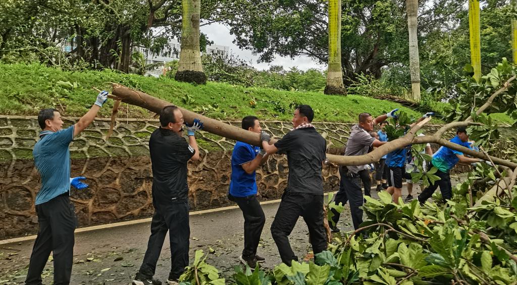 53924365BB982D0291E7E4BC2A1_DD07A04B_2B9DC