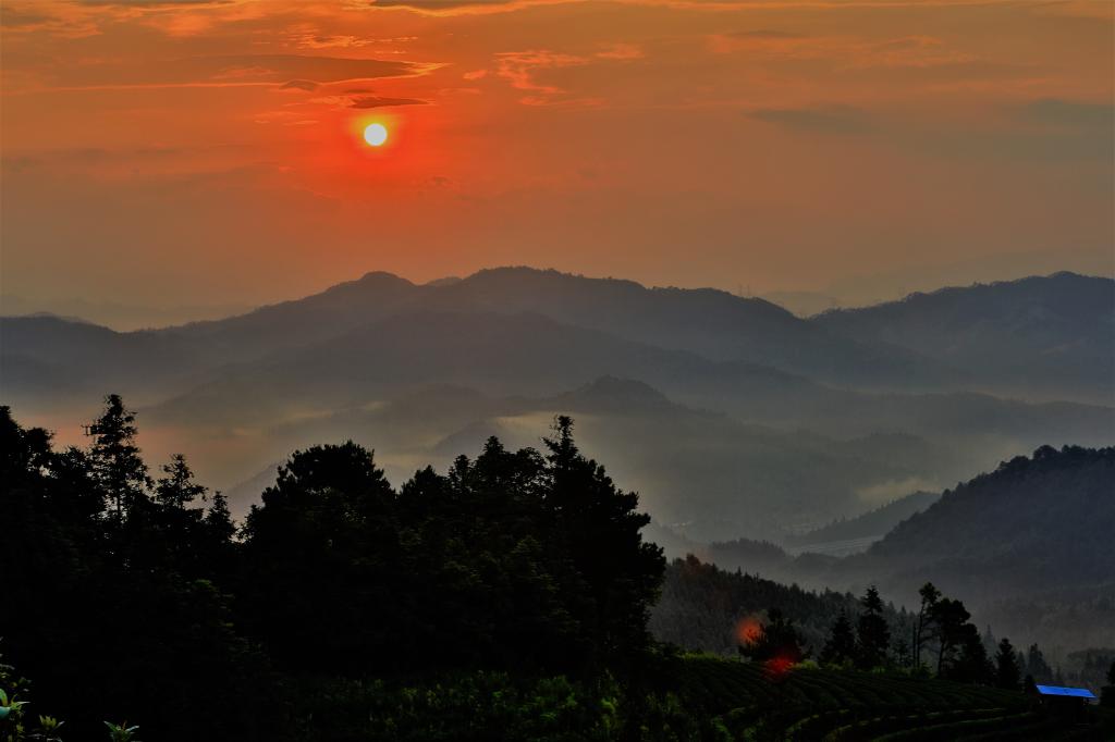 F224A56E355D5550B54772BED8C_9BBE9F27_AF36