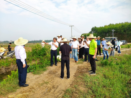 ��ҳ|�Ϲ�NG28��������Ʒ��ʵ������