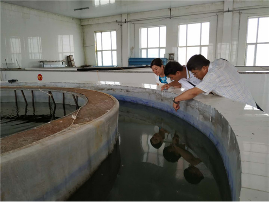 ΢��ͼƬ 222   _20190701090958.png