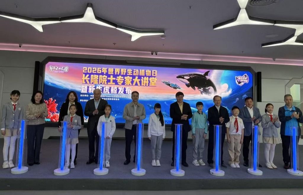 ��ҳ|�Ϲ�NG28��������Ʒ��ʵ������