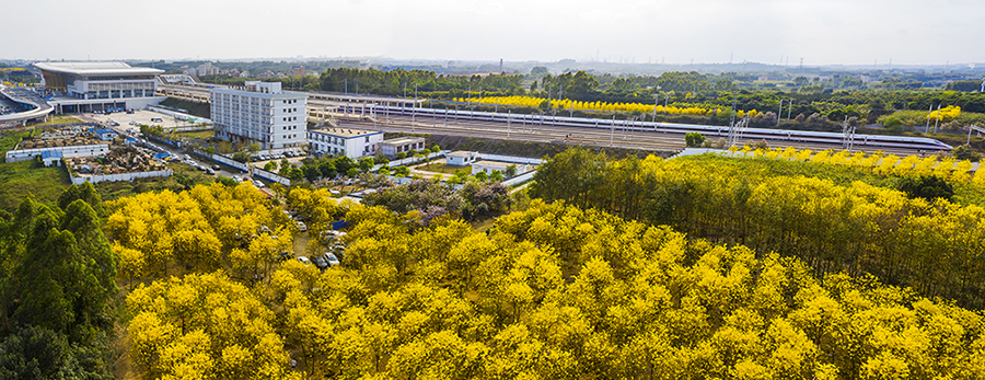 0BE2A820BD7DD8A186954923276_7CBD9C68_89256