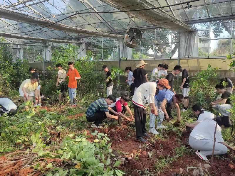 BF71C446F37F4963C846BDF624C_96ED7BAF_23DC0