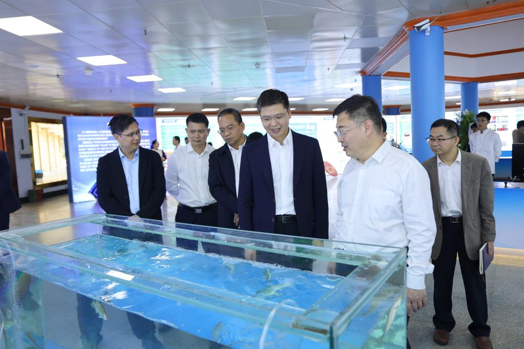 5B84C3037FF2ABEE1030AEA5168_17753C87_1724F