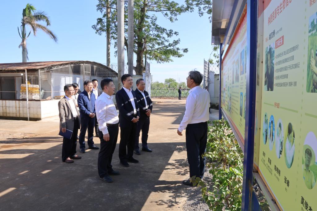 76CAB5DF6159CF781881E0D3A2D_F2325F91_1E9DA