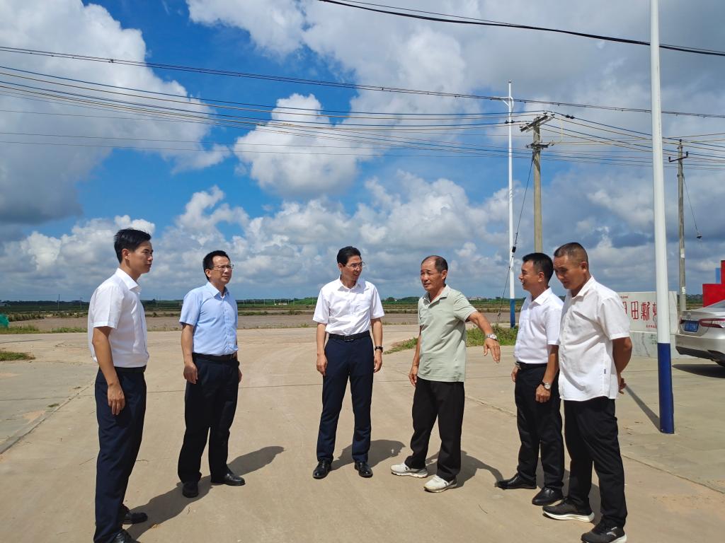 ��ҳ|�Ϲ�NG28��������Ʒ��ʵ������