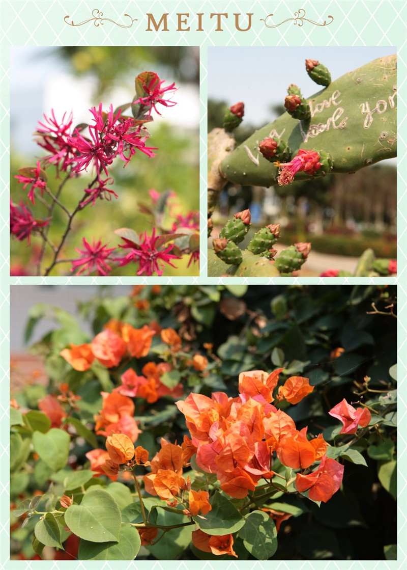 ��ҳ|�Ϲ�NG28��������Ʒ��ʵ������