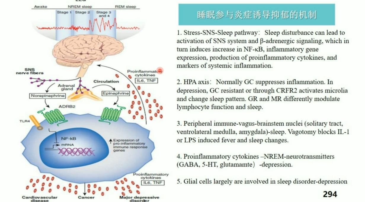 6603066136558F662F75091C2B2_A0A50A74_6C673