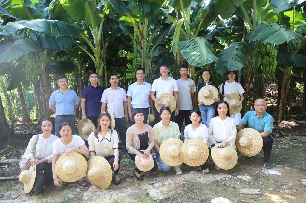 1C764882BDBA91E88913CFDA4E6_569E1C19_25DBF