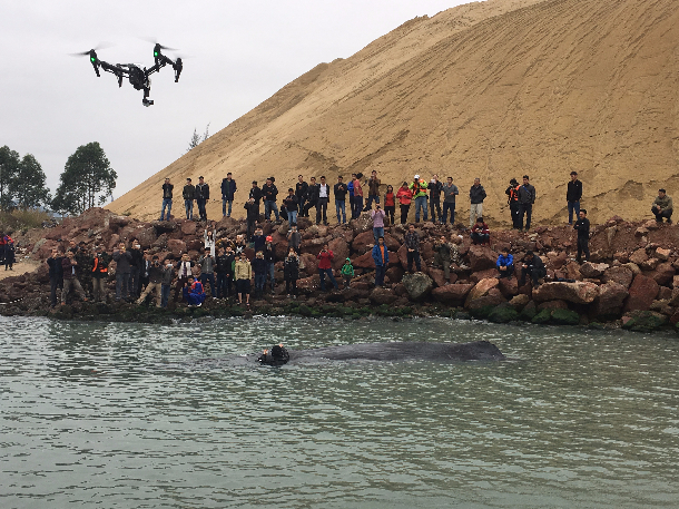 1489994999125601.jpg 1489994999125601.jpg