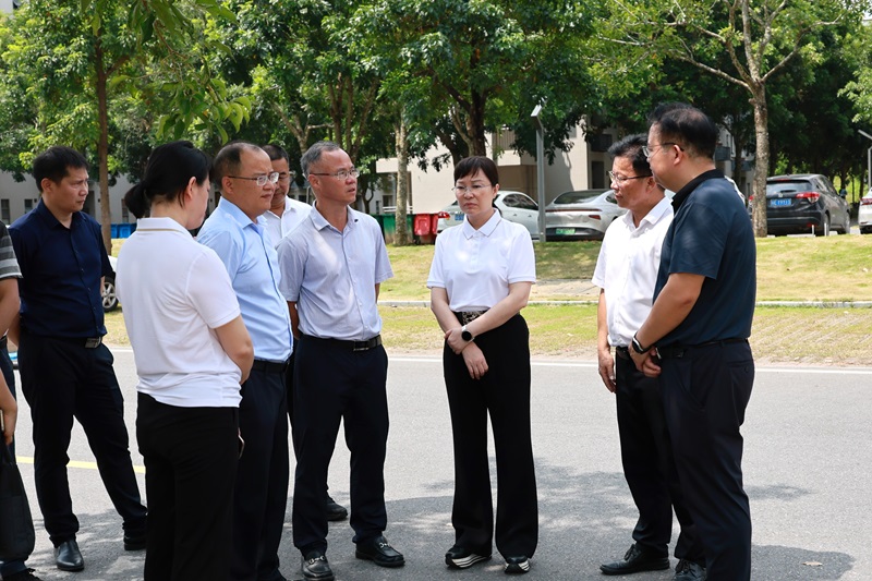 DDDDBF17BC37038E696417C7153_DCD4D988_2FD94