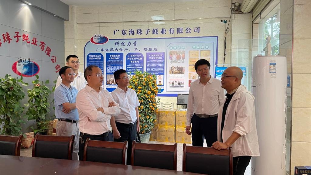 ��ҳ|�Ϲ�NG28��������Ʒ��ʵ������